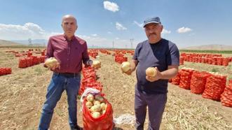 Tarlada kilosu 15 lira sofraya gelene kadar 60 lirayı buluyor! Yazlık soğan üreticisinin yüzünü güldürüyor