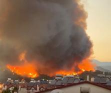 Muğla’da orman yangını