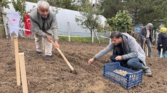 Türkiye’de bir ilk! Zonguldak’ta başladı: Kilosu altın değerinde, yeni gelir kapısı oldu