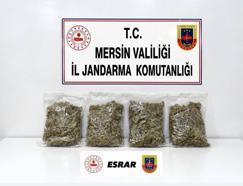 Mersin’de 2 kilo 100 gram esrar ele geçirildi