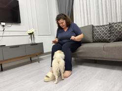 Mardin'de internetten köpek satın aldı: 'Ne evimizde huzur kaldı ne kızımın mutluluğu'