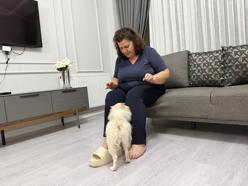 Evlerine cins köpek aldılar, hayatları kabusa döndü