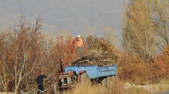 Soğuklar başladı, hazırlıklar hızlandı: Erzincan’da köylünün zorlu kış mesaisi