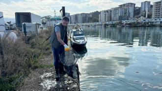 Rize'de kıyıya vuran ölü palamutlar temizlendi: Kirazlık Limanı'nı saran ağır kokuya son verildi!