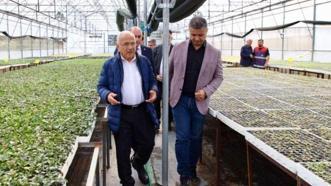 500 bin fide üreticilere ücretsiz dağıtılacak!