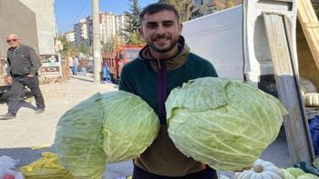 Bu lahanalar görenleri şaşırtıyor! Fiyatı 180 lira! Kapış kapış gidiyor