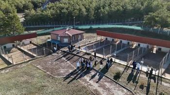 Kangal köpeğinin sırrı bu merkezde! Ziyaretçi akını var