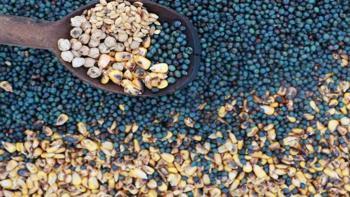 Konya'da unutulmaya yüz tutmuştu, şimdi siparişlere yetişemiyorlar: Üşümeyi bitiriyor, kana kan katıyor!