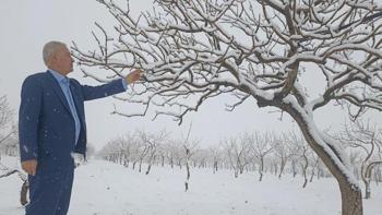 Gaziantep'te çiftçinin yüzü gülüyor! Kar yağışıyla kuraklık kabusu sona erdi