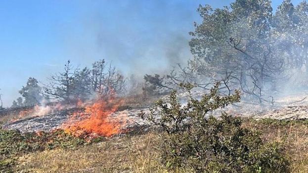 Tokat'ta orman yangını 1 saatte kontrol altına alındı