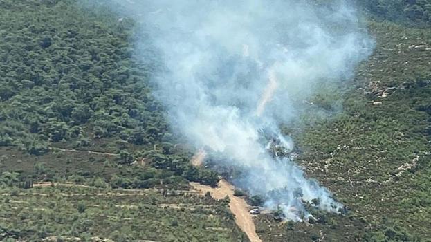 İzmir'in Foça ilçesinde ormanda yangın çıktı