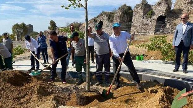 Birleşmiş Milletler Gönüllüleri'nden oluşan heyet Fatih’te ağaç dikti