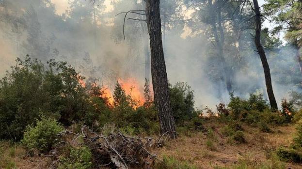 Çanakkale'de orman yangını çıktı! Bölgeye ekipler, havadan ve karadan müdahale ediyor