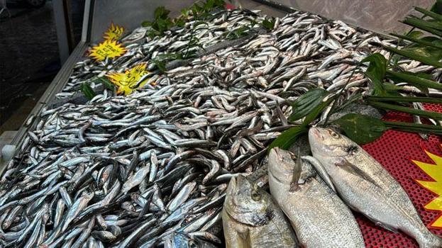 Balıkçılar kampanya yaptı, balık fiyatları 35 liraya düştü