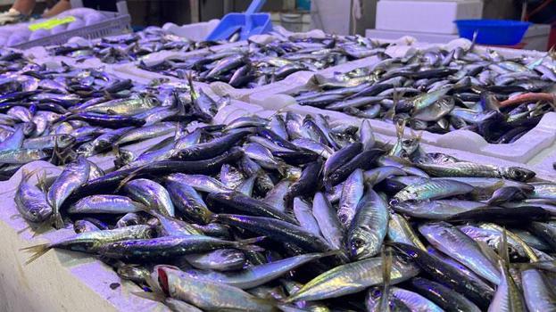 Balık fiyatları 35 liraya düştü! İstavritin tezgahlarda krallığı sürüyor