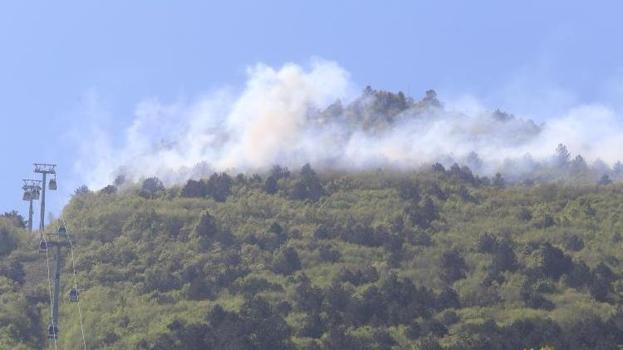 Bursa Uludağ'da orman yangını