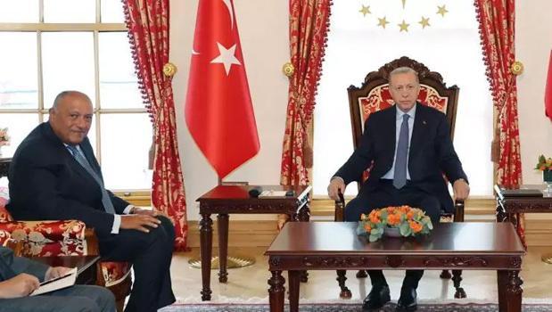 Cumhurbaşkanı Erdoğan Mısır Dışişleri Bakanı Şükri'yi kabul etti