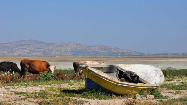 Marmara Gölü'nü kurtaracak proje! Kuraklık ve su kaynakları kesildi..