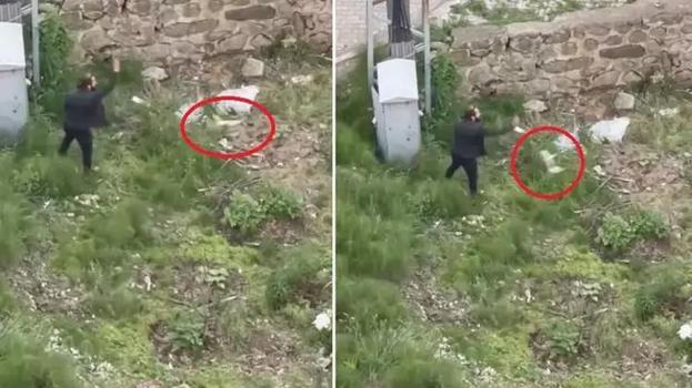 Trabzon'da vahşet! Tekmelediği yavru kediyi ezerek öldürüp, fırlattı