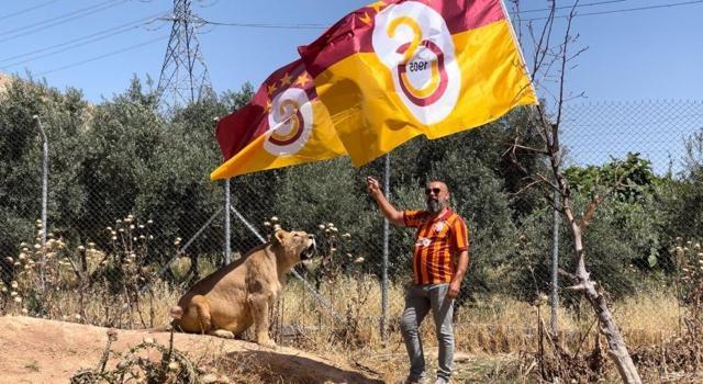 Galatasaray'ın şampiyonluğunu aslanlarıyla kutladı!
