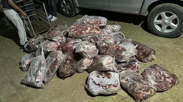 Aydın'da domuz eti baskını: 1 ton ele geçirildi