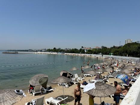 Termometreler çıldırdı! Adana'da sıcaklık 42 dereceyi gördü: Sıcaktan bunalanlar kendini denize attı