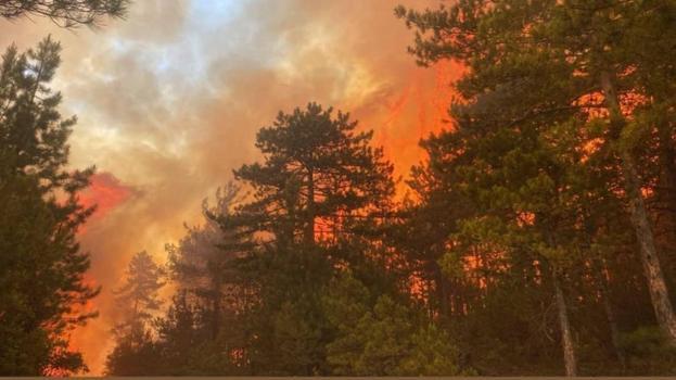 Bursa, Muğla ve Antalya'da orman yangınlarına müdahale ediliyor