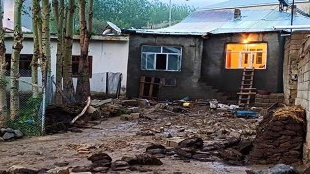 Van'da sağanak sele neden oldu; 52 hayvan öldü, 10 ev ile ahır hasar gördü