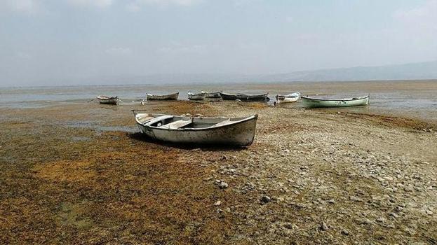 Marmara Gölü'nde balıkçılık yerine tarım yapılıyor! Kuraklık gölü kuruttu