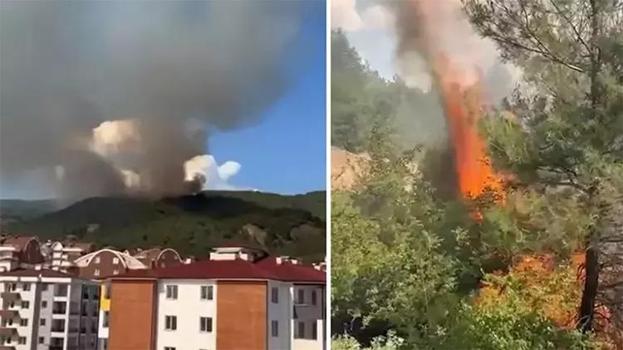 İzmir ve Adana ve Tokat'ta orman yangını