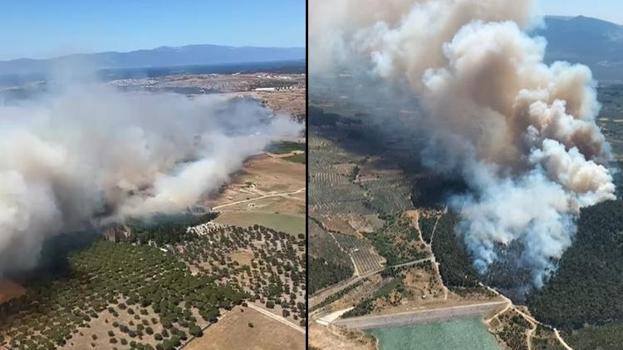 İzmir, Manisa, Uşak ve Balıkesir'de yangın! Havadan ve karadan müdahale ediliyor