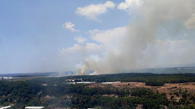 Antalya'da orman yangını! Müdahale sürüyor