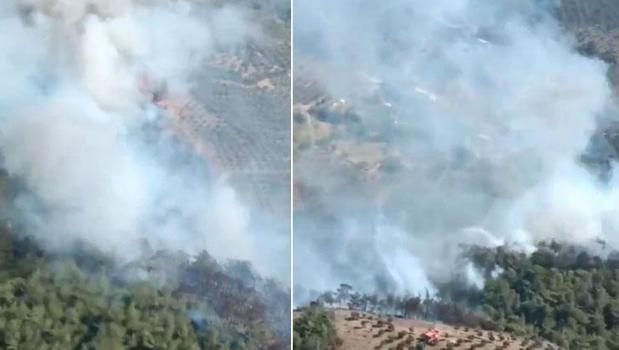Hatay'ın Belen ilçesinde orman yangını çıktı