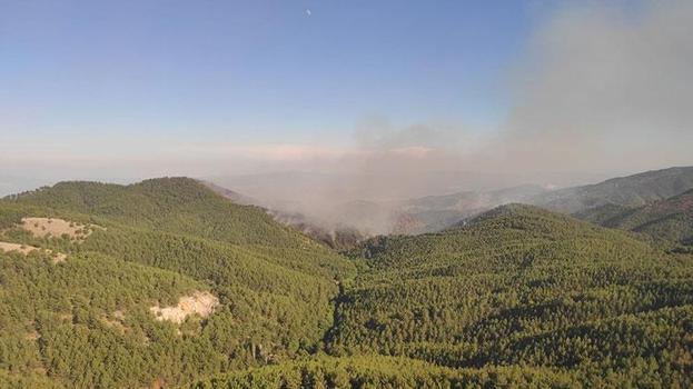 Bergama'daki orman yangınında 2'nci gün! Söndürme çalışmaları sürüyor