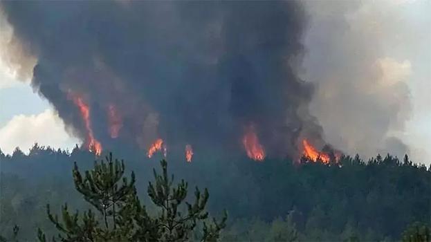 Karabük ve Kastamonu'da orman yangını! Ekipler müdahale ediyor
