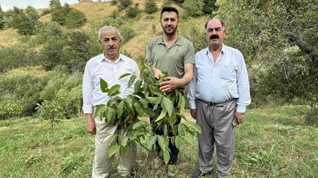 İran sınırını ‘Yeşil Vadi’ye çevirdi! 20 yıl boyunca emek verdi karşılığını aldı