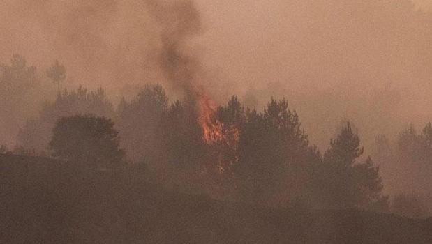 Ankara'da çıkıp Bolu'ya sıçrayan orman yangını kontrol altına alındıktan sonra yeniden başladı