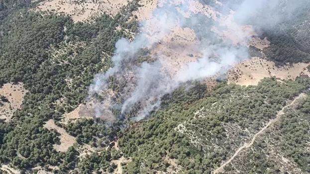 Kaş'ta orman yangını! Müdahale sürüyor