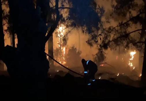 İzmir'de 2 bin 196 hektarlık alanın yanmasına sebep olan tarihi eser kaçakçıları gözaltına alındı