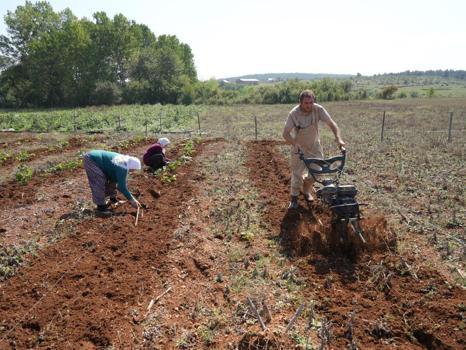 Kastamonu'da bakanlık destek verdi! 'Ya tutarsa' diye ekti, siparişlere yetişemiyor