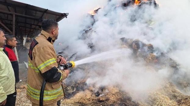 Adıyaman'da yıldırımın düştüğü samanlık alev alev yandı