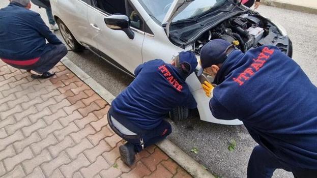 Çorum'da araç motoruna giren kedileri kurtarmak için seferber oldular