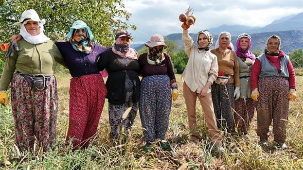 Erzincan'da kadın işçiler önce hasat etti sonra halay çekti