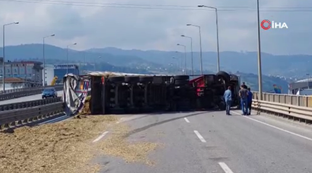 Tır sürücüsünün boynunu sokan arı kazaya sebep oldu