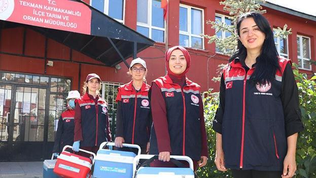 Erzurum kırsalında hayvanların sağlığı kadın veterinerlere emanet: Havaların soğuduğu bugünlerde dağlık bölgelerde görevdeler