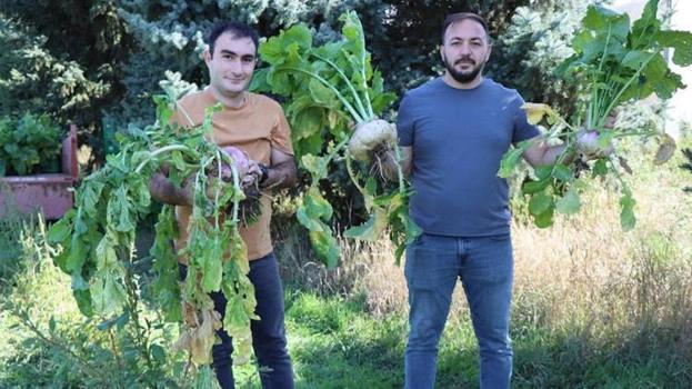 Lokman Hekim tarlasının önünden geçmek bile yeterli diyor! Erzincan'da üretiliyor, faydası saymakla bitmiyor