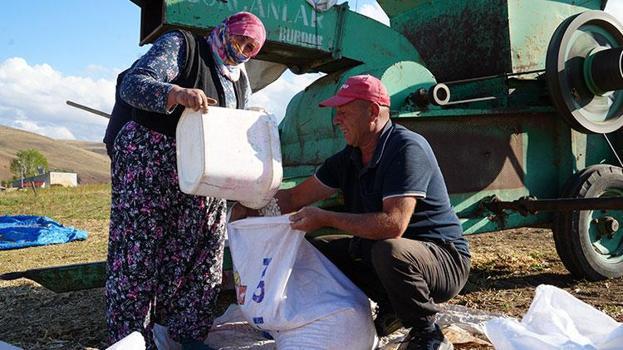 Bayburt'lu üretici fasulyenin rekoltesinden memnun