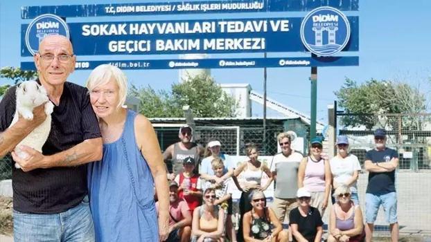 Didim'de sokak köpeklerine yeni hayat! İngiliz çift 200 köpeği tedavi ettirip yurtdışında sahiplendirdi