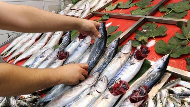 İstanbul'da tezgahlar 7 bin 500 ton balıkla buluştu