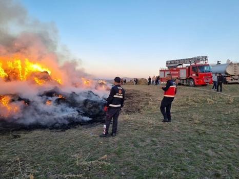 Van’da çıkan yangında 9 bin bağ ot yandı